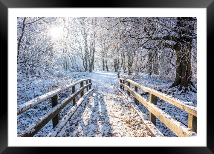 Ashridge in Winter Framed Mounted Print by Graham Custance