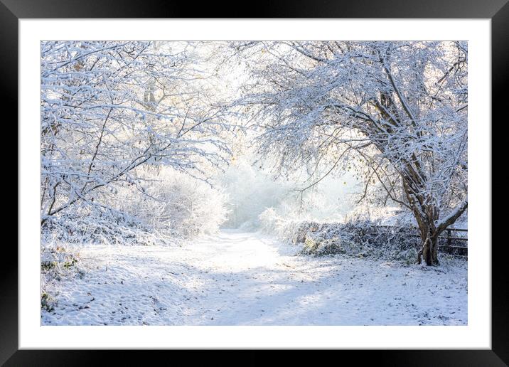 Ashridge in Winter  Framed Mounted Print by Graham Custance