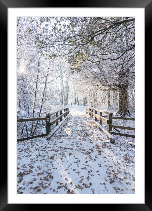 Tranquil Ashridge Forest Bridge in Winter Framed Mounted Print by Graham Custance