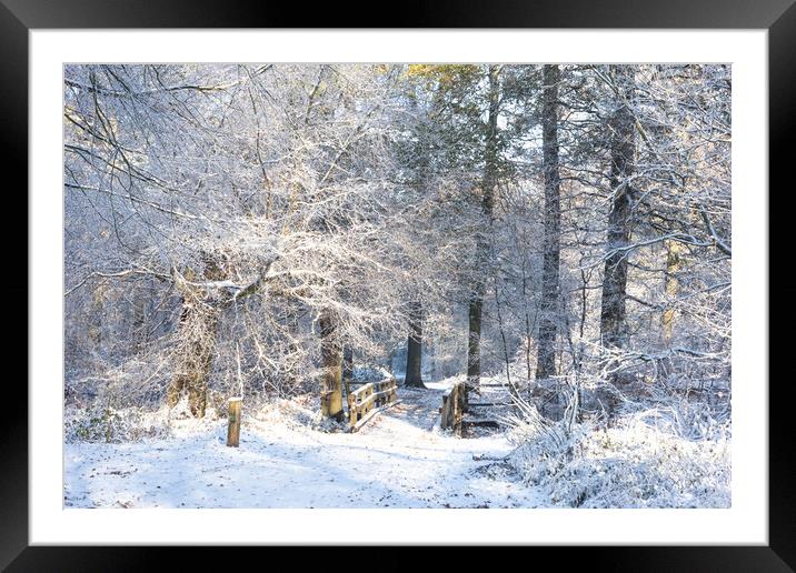 Ashridge in Winter Framed Mounted Print by Graham Custance