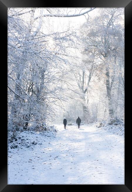 Ashridge in Winter  Framed Print by Graham Custance