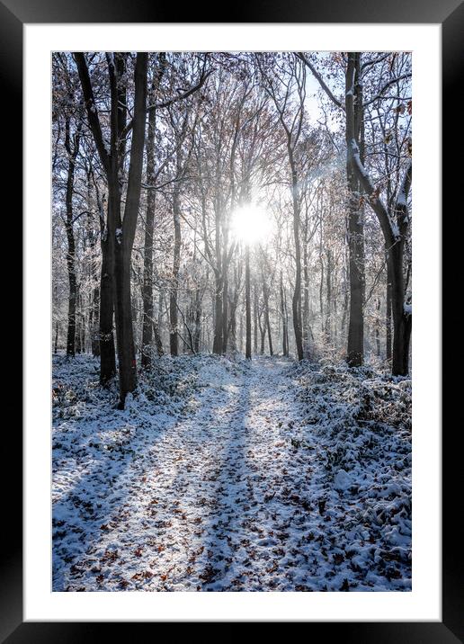 Ashridge in Winter  Framed Mounted Print by Graham Custance