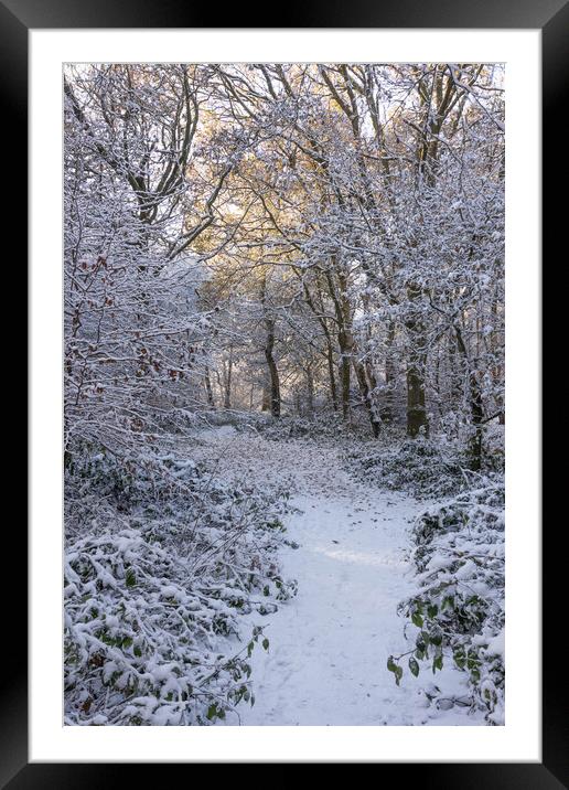 Serene Winter Wonderland at Ashridge Framed Mounted Print by Graham Custance