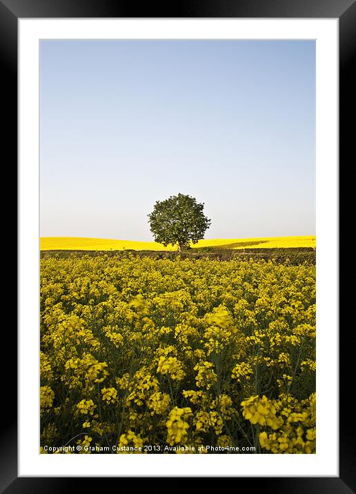 Yellow Framed Mounted Print by Graham Custance