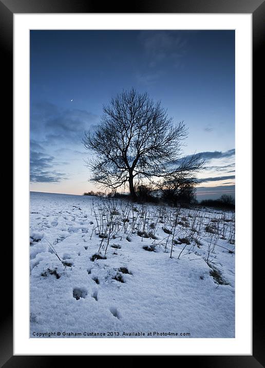 Winter Tree Framed Mounted Print by Graham Custance