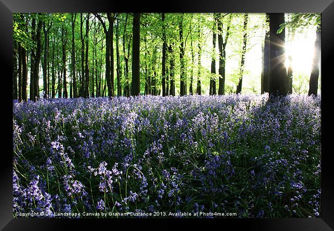 Bluebell Woods Sunrise Framed Print by Graham Custance