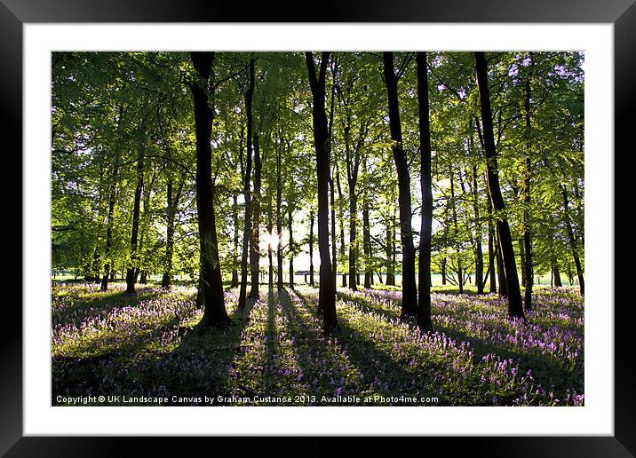 Bluebell Woods Framed Mounted Print by Graham Custance