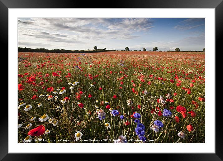 Wild flowers Framed Mounted Print by Graham Custance