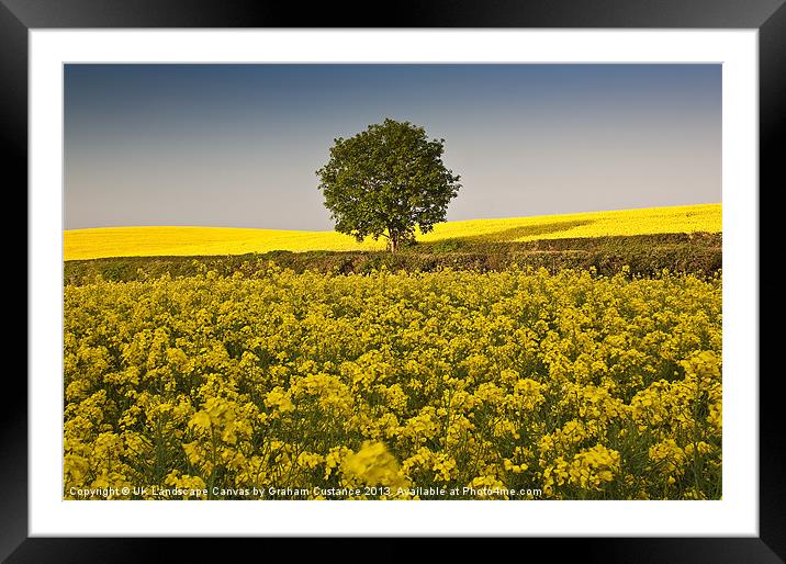 Lone Tree Framed Mounted Print by Graham Custance