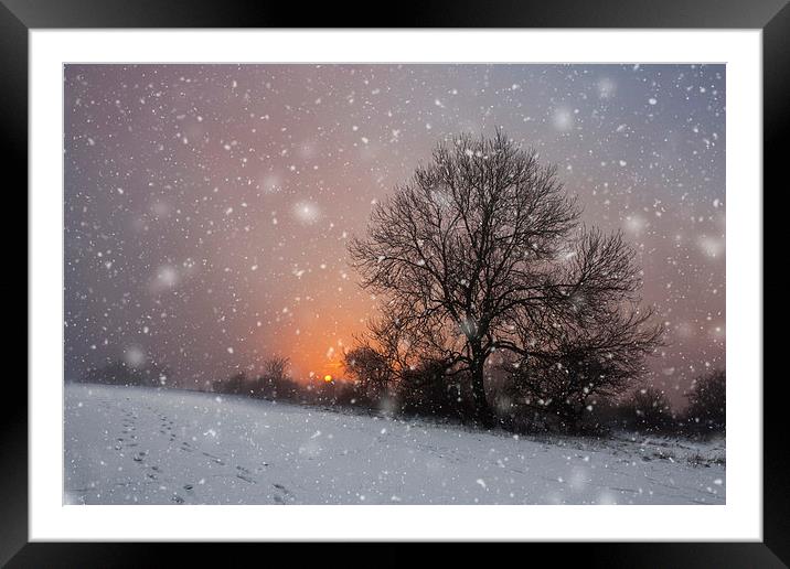 Winter Wonderland Framed Mounted Print by Graham Custance