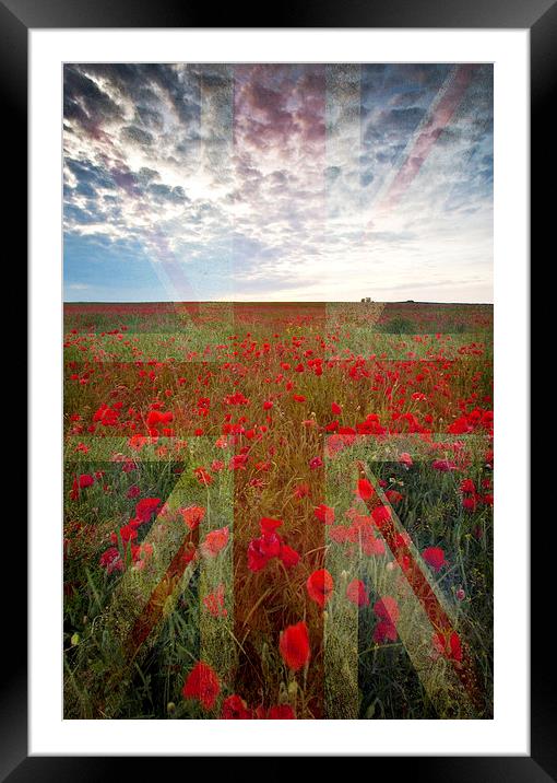 Poppy Field Framed Mounted Print by Graham Custance