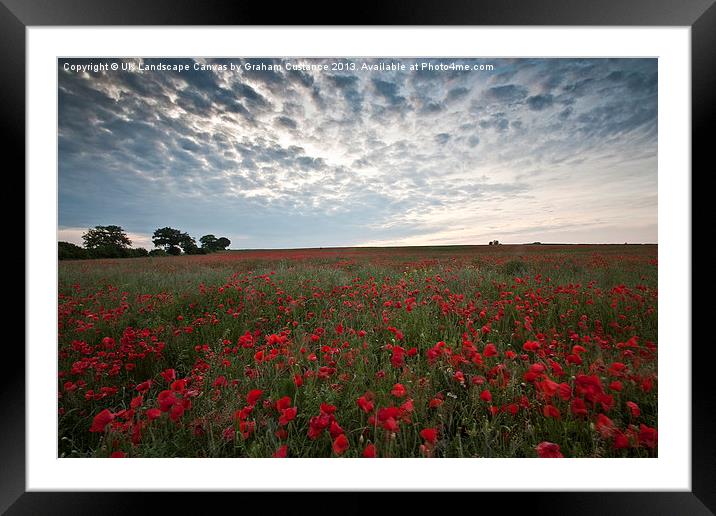 Poppy Field Framed Mounted Print by Graham Custance