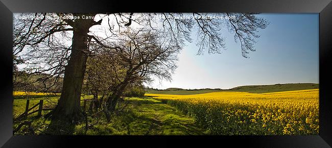  Ivinghoe Beacon Framed Print by Graham Custance