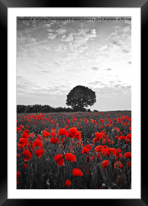  Poppy Field Framed Mounted Print by Graham Custance