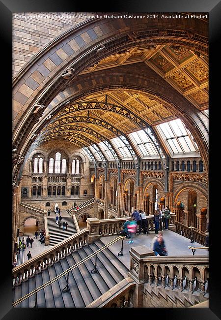  Natural History Museum Framed Print by Graham Custance