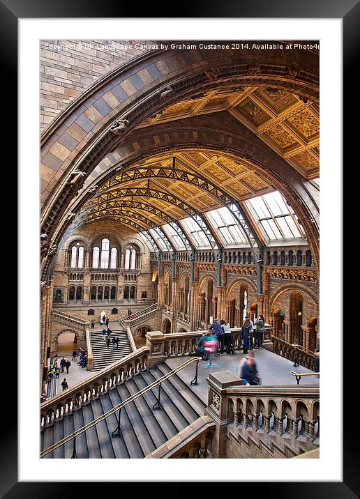 Natural History Museum Framed Mounted Print by Graham Custance