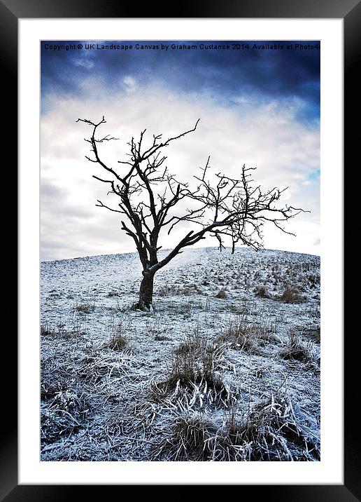 Lone Tree in Winter  Framed Mounted Print by Graham Custance