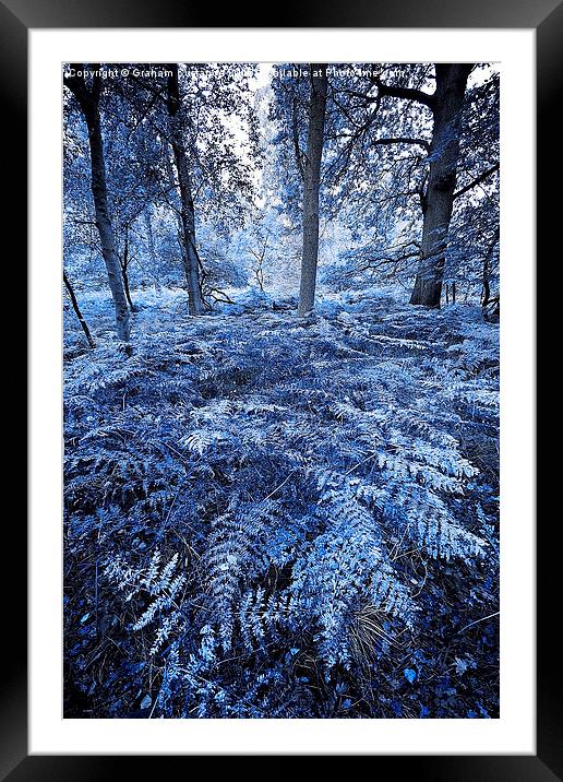 Mystical Woods Framed Mounted Print by Graham Custance