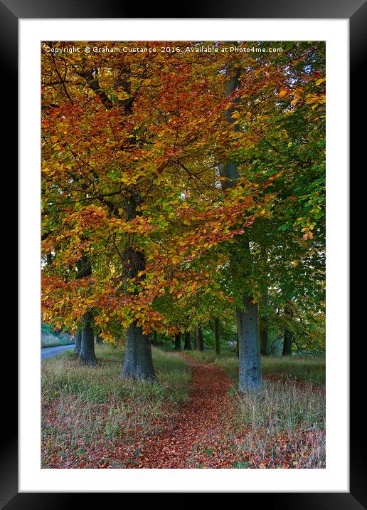 Autumn Path Framed Mounted Print by Graham Custance