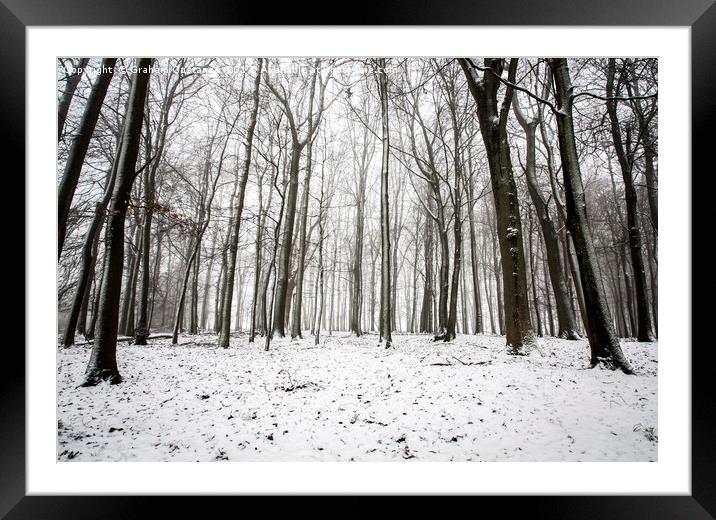 Winter Trees Framed Mounted Print by Graham Custance