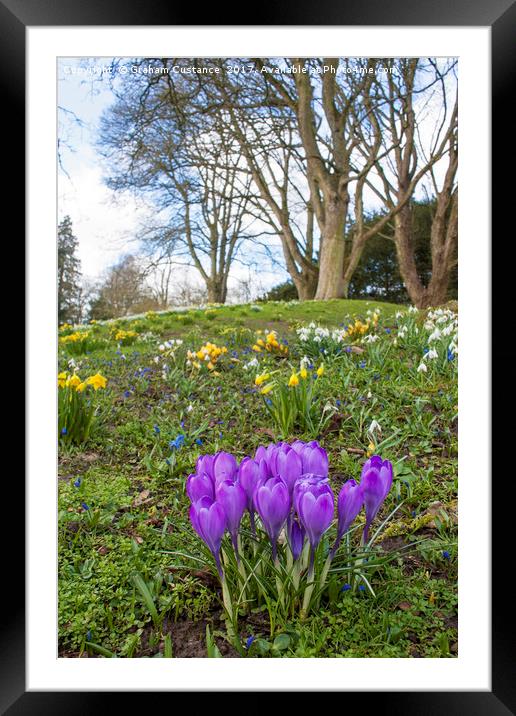 Spring at Waddesdon Framed Mounted Print by Graham Custance