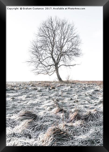 Lone Tree in Winter Framed Print by Graham Custance