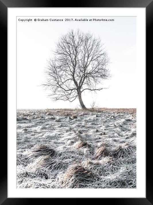 Lone Tree in Winter Framed Mounted Print by Graham Custance