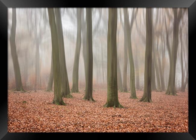Autumn Mist Framed Print by Graham Custance