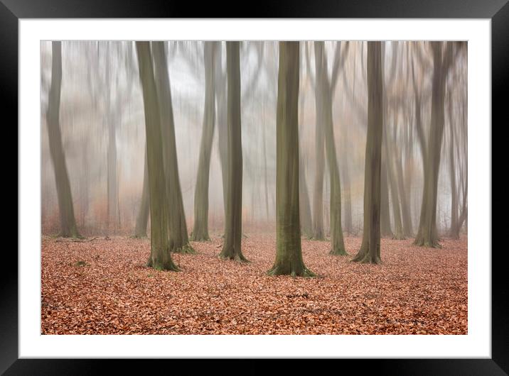 Autumn Mist Framed Mounted Print by Graham Custance