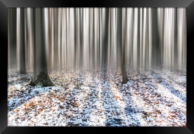 Winter Woods Framed Print by Graham Custance