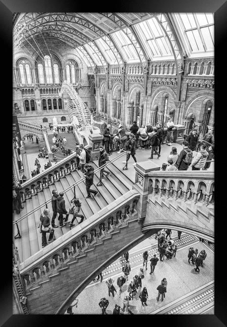 Natural History Museum Framed Print by Graham Custance