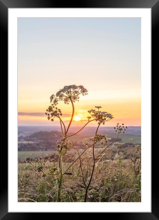 Dunstable Downs Sunset Framed Mounted Print by Graham Custance