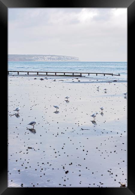 Shanklin, Isle of Wight Framed Print by Graham Custance