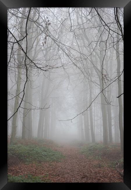 Autumn Trees Framed Print by Graham Custance