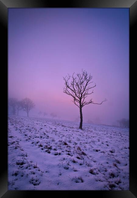 Dunstable Downs in Winter Framed Print by Graham Custance