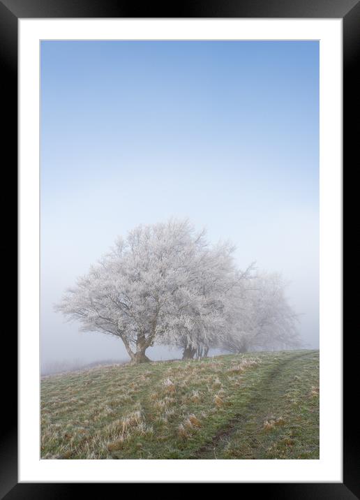 Dunstable Downs in Winter Framed Mounted Print by Graham Custance