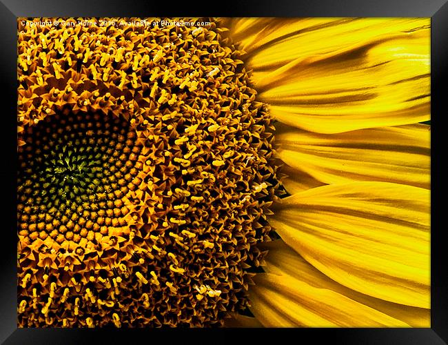 Here Comes the Sun Framed Print by Gary Horne