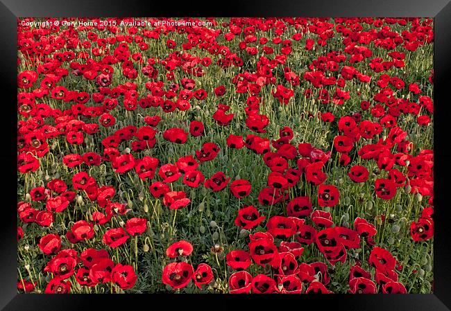 The Fields of Remembrance Framed Print by Gary Horne