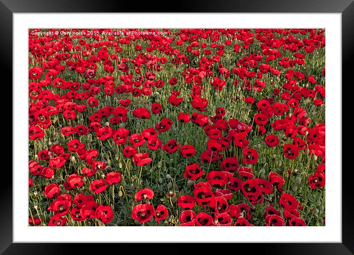 The Fields of Remembrance Framed Mounted Print by Gary Horne