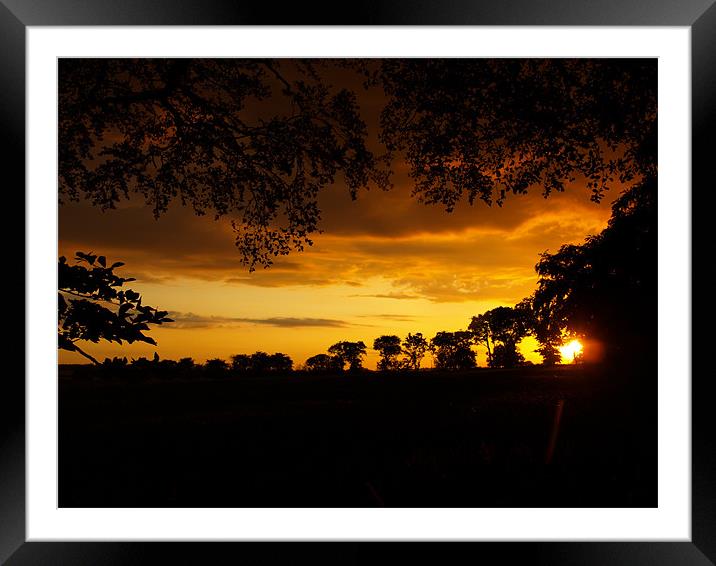 Goodnight Day. Framed Mounted Print by Dominic Hornsby