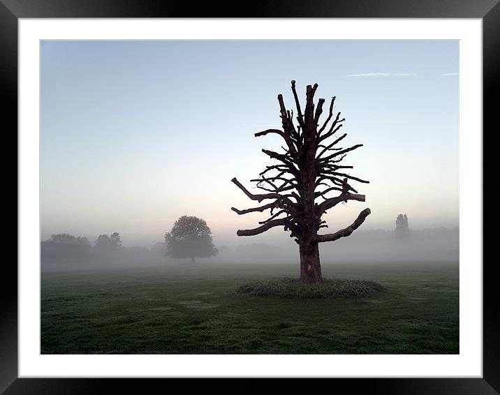 Beautiful misty morning Framed Mounted Print by mark graham