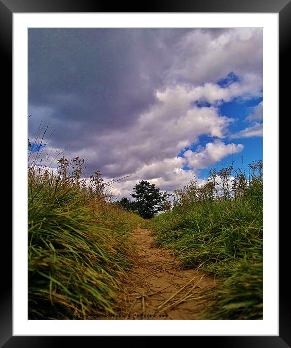 pathway to summertime Framed Mounted Print by mark graham