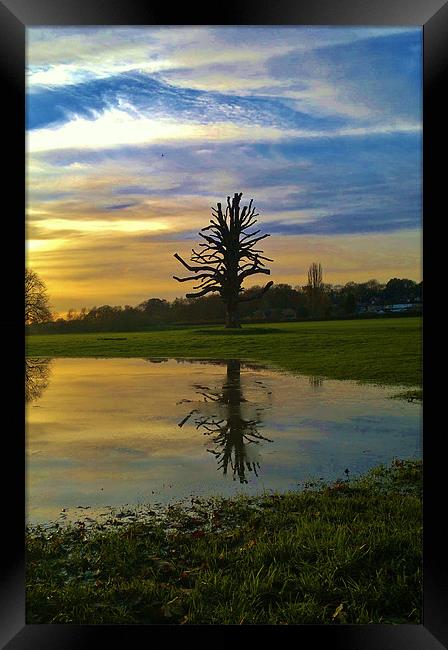 reflection at sunset Framed Print by mark graham