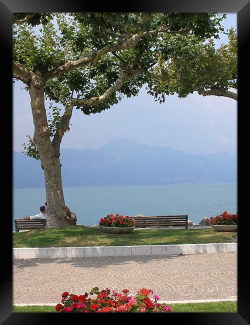 Lake Garda Italy Framed Print by Shoshan Photography 