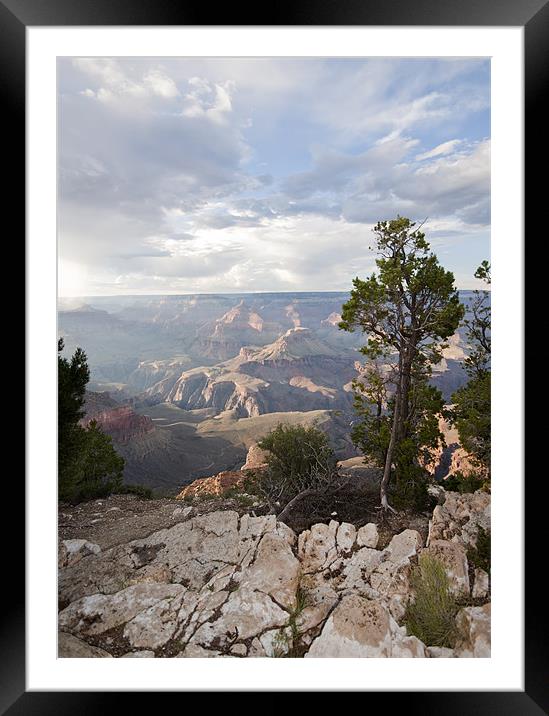 Grand Canyon Evening Framed Mounted Print by simon  davies