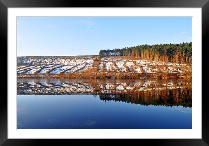 Reflections Framed Mounted Print by simon  davies