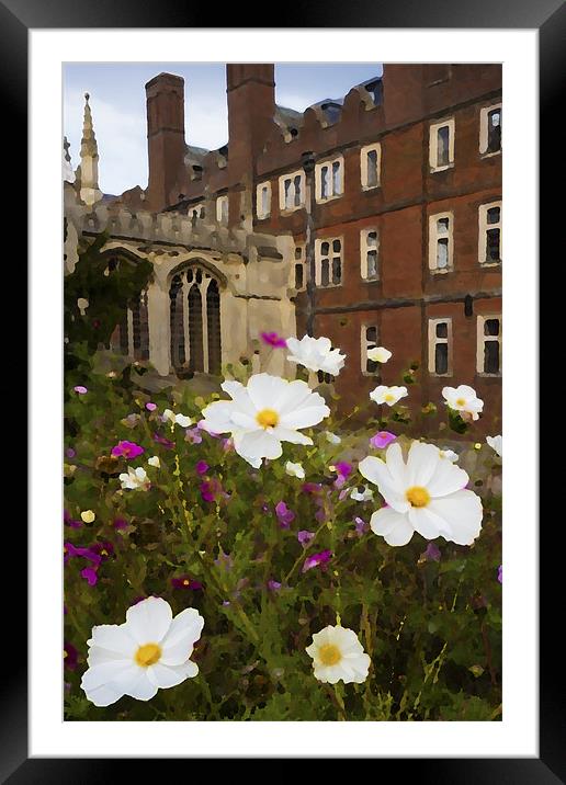 Cambridge Wildflowers Framed Mounted Print by Stephen  Hewett