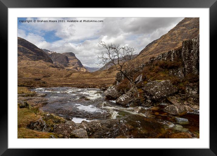 Lone tree in glencoe Framed Mounted Print by Graham Moore