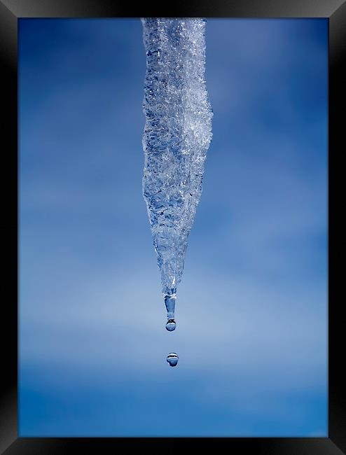 Icicle Framed Print by Graham Moore
