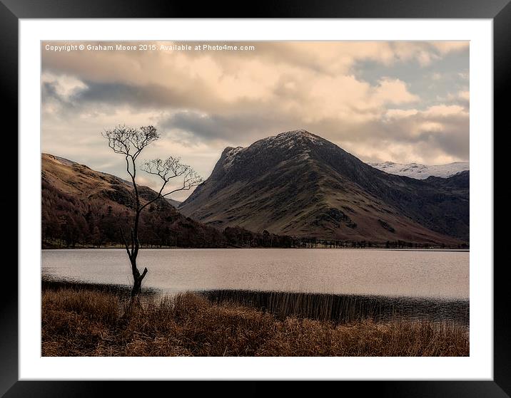The tree, Buttermere Framed Mounted Print by Graham Moore